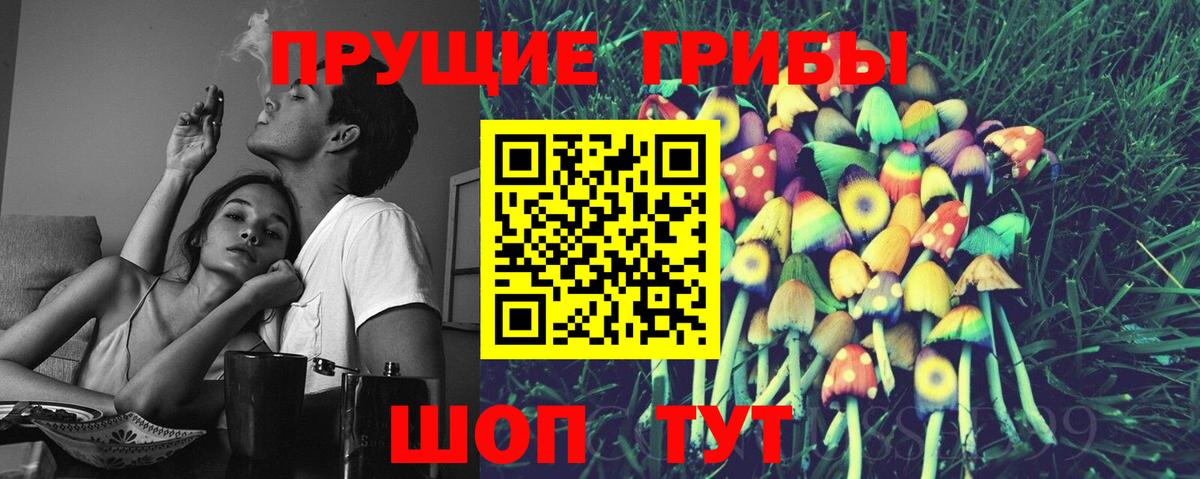Псилоцибиновые грибы Psilocybe Старый Оскол