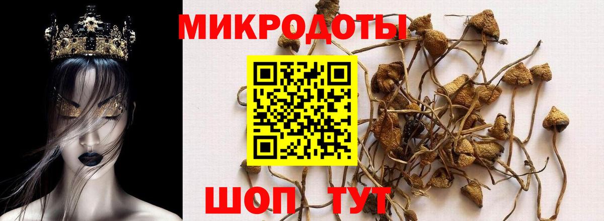 Псилоцибиновые грибы Psilocybe  Галлюциногенные грибы Psilocybine cubensis  Вход с VPN  купить наркотики сайты  Старый Оскол 